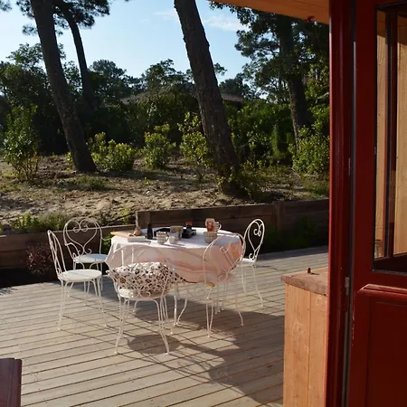 Willa Maison Bois 10 Pers Capferret Des Americains