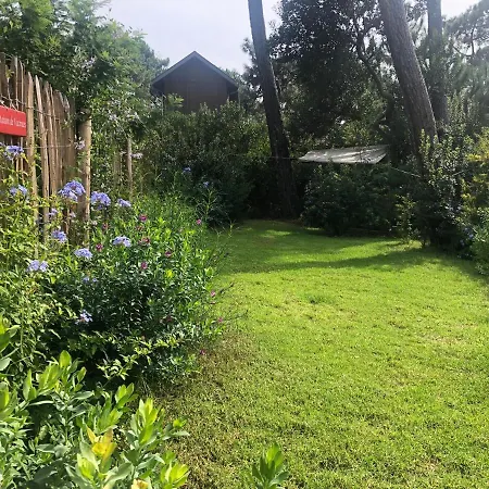 Willa Maison Bois 10 Pers Capferret Des Americains Lège-Cap-Ferret